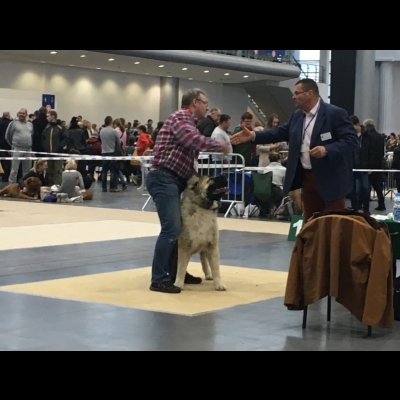 IDS POZNAŃ'18 - BALDUR